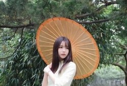 探索抖阴app中的猫咪内容，发现萌宠的奇妙世界