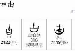 此音非此阴：解读音律与阴影之间的微妙关系