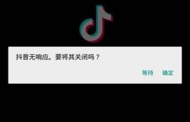 抖音无法初始化对策：重新安装及常见故障排查指南
