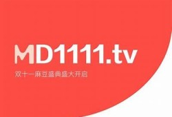 官网推荐：麻豆传媒最新动态与精彩内容尽在这里！