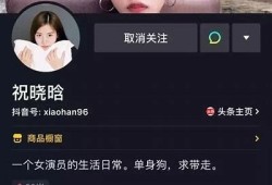 抖音短视频老司机分享：快速提升视频播放量的秘诀与技巧