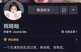 抖音短视频老司机分享：快速提升视频播放量的秘诀与技巧