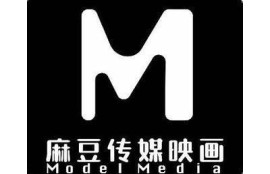 麻豆传媒是做什么的？深入了解其业务与发展历程