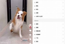 下载抖音破解版：蓝奏云资源分享，轻松获取无限精彩内容！