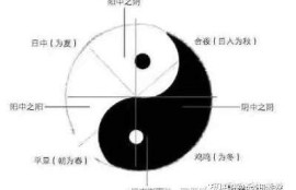 如何正确调节抖阴媂头，提升视频结果的实用技巧解析