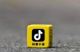 抖阴无限抖币获取方法与百度云资源分享