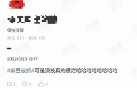 麻豆视传媒的真实影响：它是有毒还是无害？