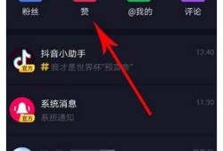 如何有效提高抖音视频点赞量：实用技巧与策略分享