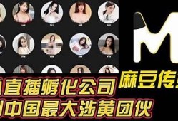 麻豆开心鬼传媒嫂子的搞笑日常：带你领略不一样的生活乐趣