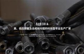 免费在线观看麻豆床传媒最新影视内容，畅享精彩视频体验