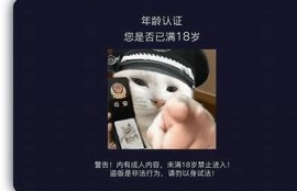 抖阴DIS：揭秘短视频平台新动向与用户体验优化策略
