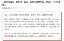 麻豆传媒最新作品评测：深度解析与观看体验分享