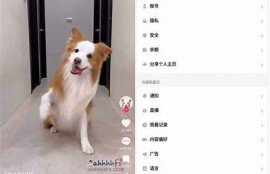 最新抖音破解版安卓下载：畅享无限精彩视频体验
