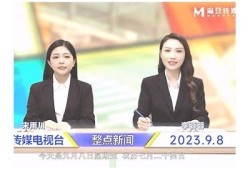 「深入探讨麻豆文化传媒：影视内容创新与市场方向检视」