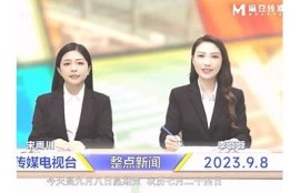 「深入探讨麻豆文化传媒：影视内容创新与市场方向检视」