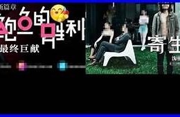 麻豆约拍的品牌背景与麻豆传媒的关系解析