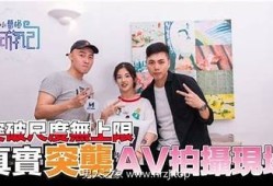 麻豆传媒22天：揭秘背后的创作与运营秘辛