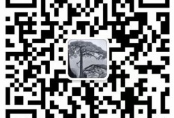 探索麻豆文传媒精品一区：优质内容与专业创作的完美结合