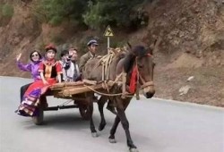 探索麻豆传媒日记：幕后故事与创作心路