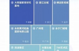 揭秘抖音非官方版下载：安全性与使用体验检视