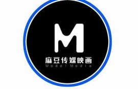 探索麻豆传媒DS的魅力：高清内容与优质体验并存
