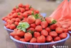 探秘红草莓：丰富营养与抖阴魅力的完美结合