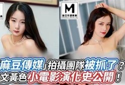 完整解析麻豆传媒影视破解版下载，畅享免费高清视界