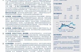 麻豆传媒2023年度销售业绩研究与市场展望