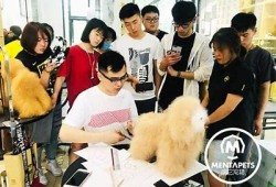 免费麻豆传媒新剧国产：精彩剧情引发热议，粉丝纷纷追看！