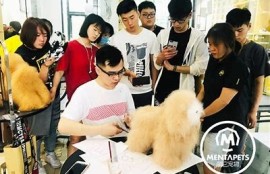 免费麻豆传媒新剧国产：精彩剧情引发热议，粉丝纷纷追看！