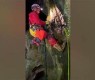 揭开抖阴TW MP4的神秘面纱，探索精彩视频内容及其魅力