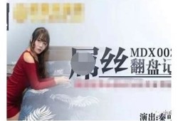 麻豆经济传媒演员介绍：新星崭露头角与未来发展动向