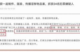 麻豆传媒APP使用风险检视及用户指南，值得下载吗？