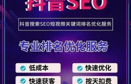 抖音与抖音优化版的区别：如何选择适合你的平台