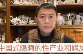 探秘麻豆传媒工作室花絮：幕后创作与团队生活