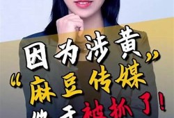 麻豆传媒：引领短视频时代的创新风潮与发展机遇