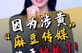 麻豆传媒：引领短视频时代的创新风潮与发展机遇