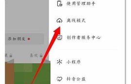 抖音视频缓存技巧：轻松解决存储困难，提升使用体验