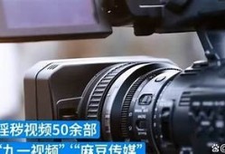 如何下载麻豆床传媒，详细步骤与注意事项分享