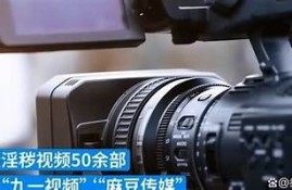 如何下载麻豆床传媒，详细步骤与注意事项分享