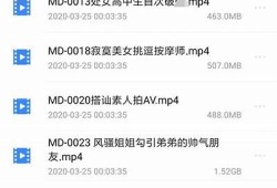 国产精品麻豆剧果冻传媒：探索新颖剧情与精彩演绎