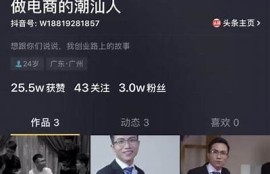 如何利用抖音提升品牌曝光度，获取更多粉丝和客户？