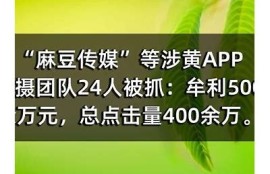 麻豆社区APP：聚焦国产传媒系列，尽享精彩内容与互动体验