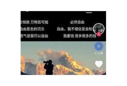 抖阴535APK下载：探索最新热门短视频使用
