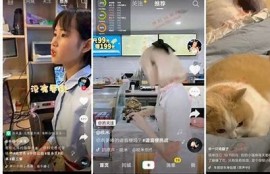 抖音破解版下载：畅享无限乐趣，轻松获取所有特权
