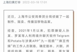 麻豆传媒女主角推荐：十位无法错过的魅力明星