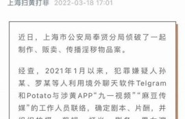 麻豆传媒女主角推荐：十位无法错过的魅力明星