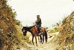 阴兵老五原视频：揭示阴间秘密的惊悚故事