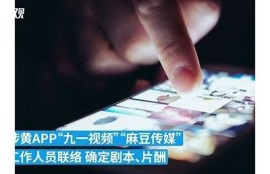 探索麻豆映画传媒：视频内容及无与伦比魅力的详尽解析