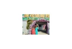 探索麻豆传媒文身的魅力与艺术：深度调查与欣赏